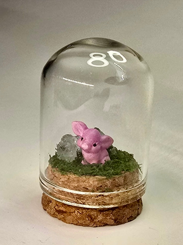 Teenie Terrarium - Piggy