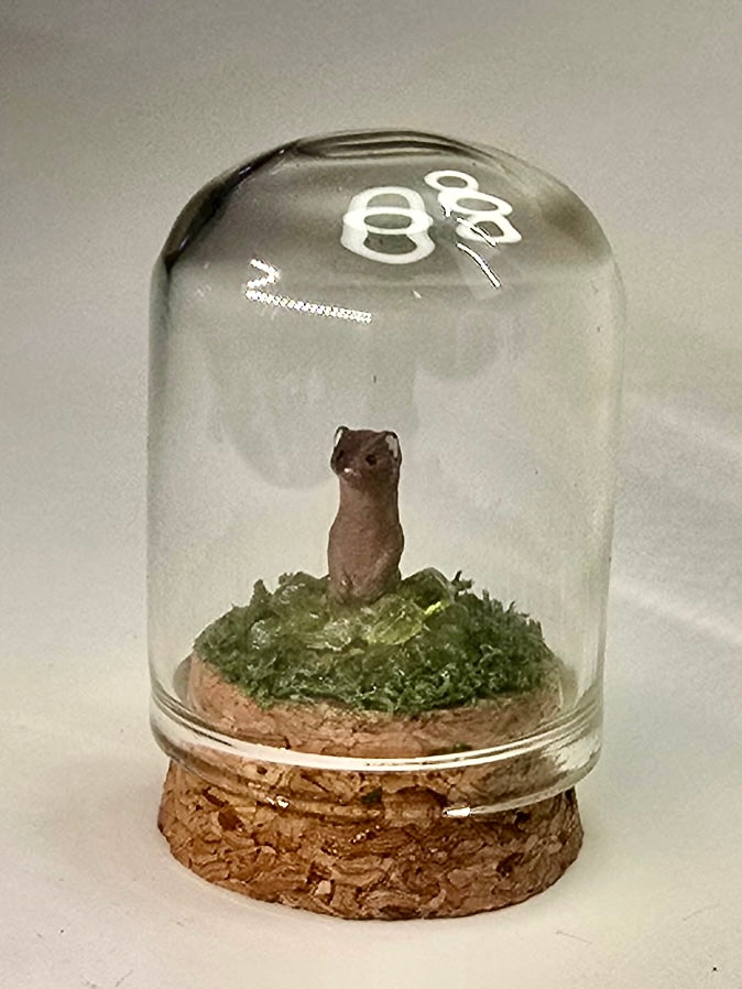 Teenie Terrarium - Weasel