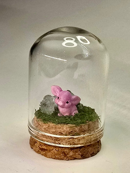 Teenie Terrarium - Piggy